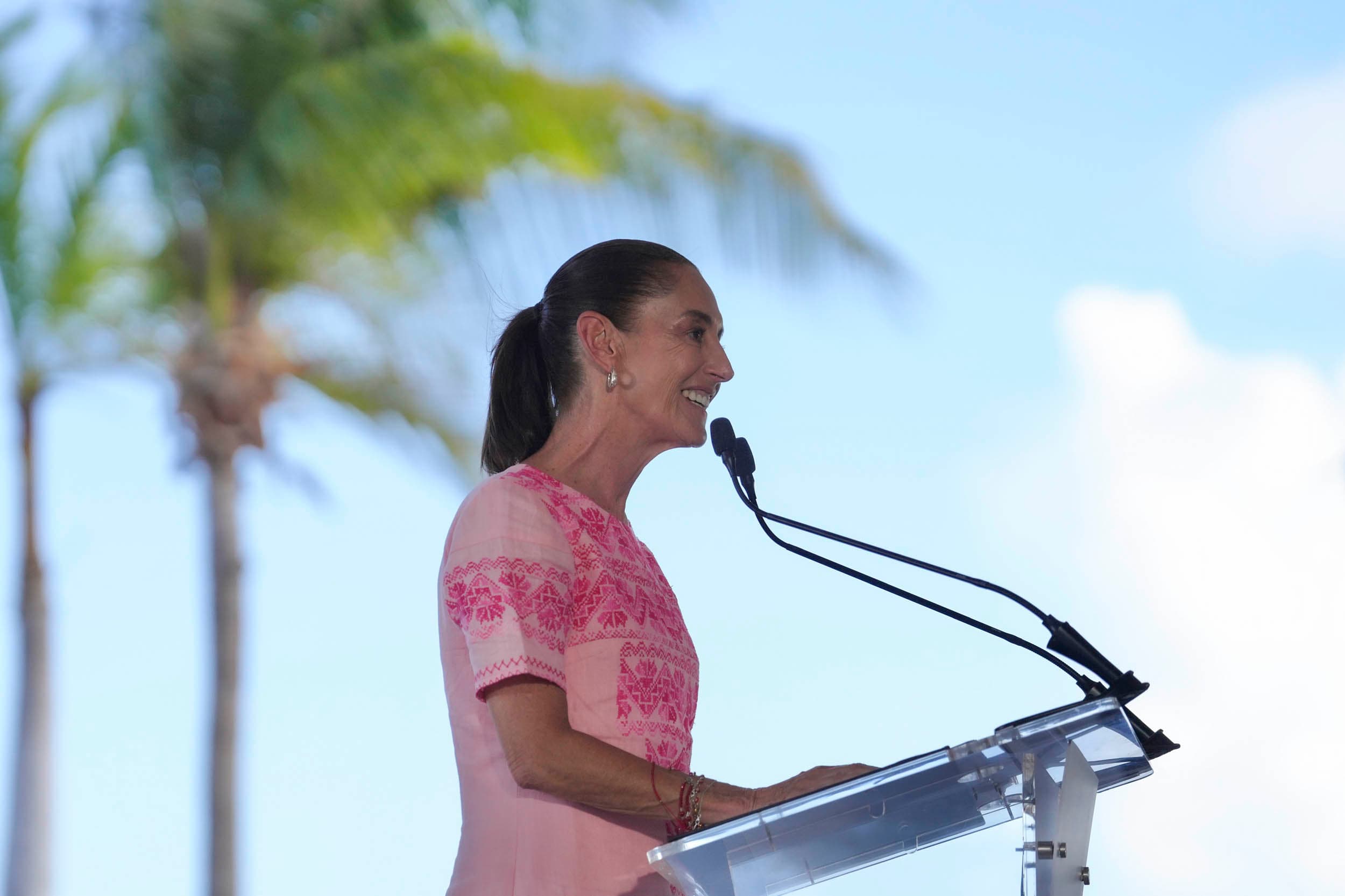 Mujer en podio con micrófono vistiendo blusa rosa con decoraciones, frente a palmera y cielo despejado.