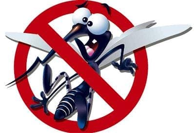 Haz una trampa casera para mosquitos