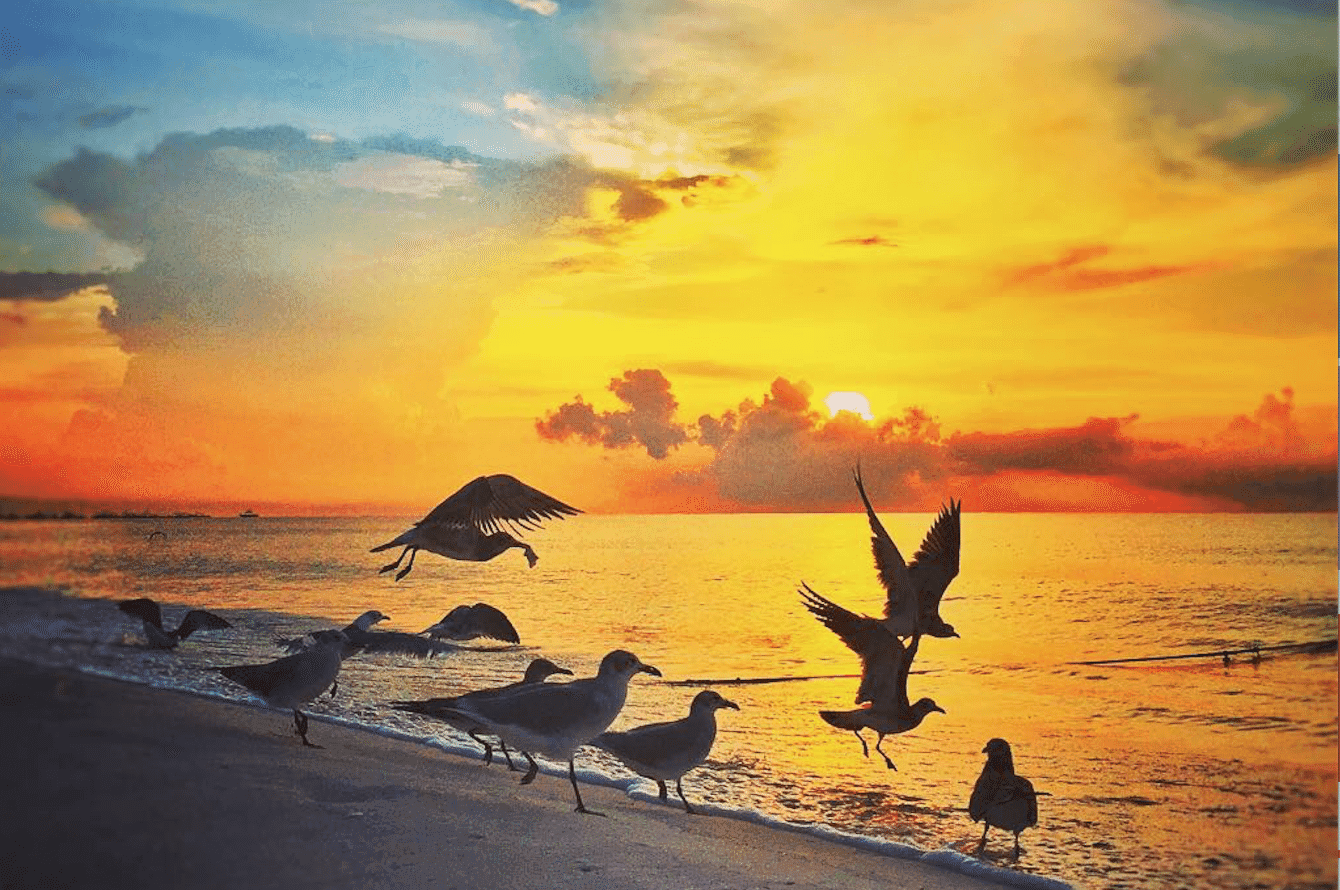 7 amaneceres espectaculares de Playa del Carmen