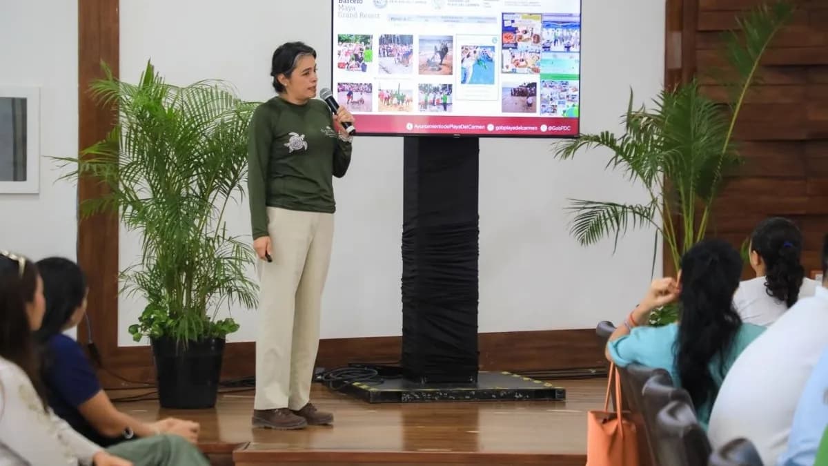 Playa del Carmen registra 2 mil nidos de tortugas en 2026
